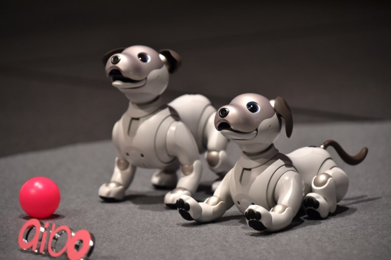 aibo