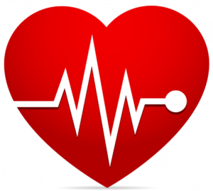 heart rates