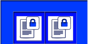 document security